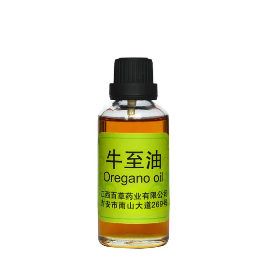 Wholesale Oregano Plant Essential Oil Carvacrol High Quality
