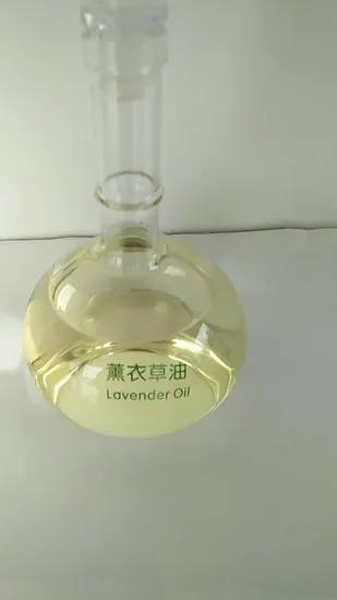 Lavender Oil Pure Natural Plant Extract Essential Oil for Cosmetics Whole Sale in 2024