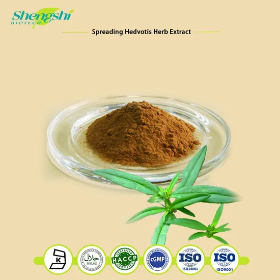 Factory Supply Spreading Hedvotis Herb Extract Powder Hedyotis Diffusa Willd, Oleanolic Acid 2.5% OEM ODM Manufacturer 