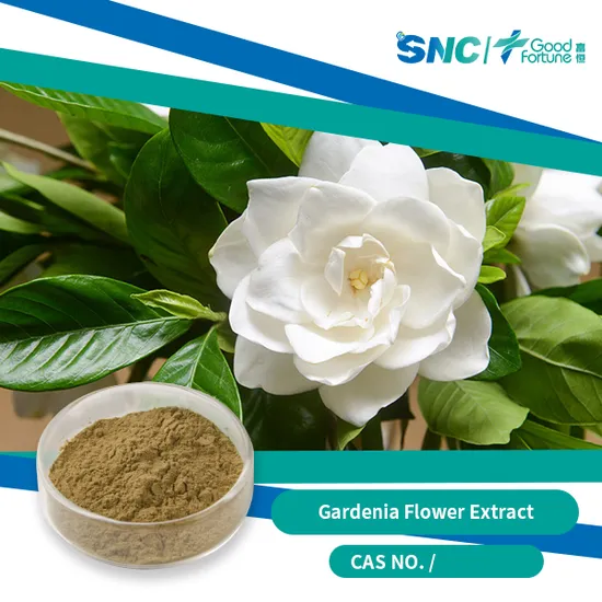 Factory Supply High Quality Geniposide Powder Gardenia (Extract) 