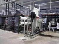 High Purity 99% Nad Nicotinamide Adenine Dinucleotide Nadh Nad+ Powder in Bulk 