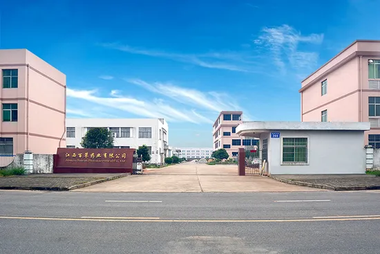 Essential Oil Manufacturers Supply Sea Buckthorn Oil Extracted From Natural Plants 