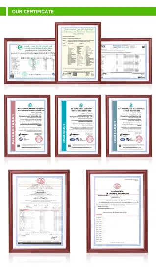 Comext Factory 100% Natural Organic Reishi Mushroom Herbal Powder Ganoderma Plant Extract 