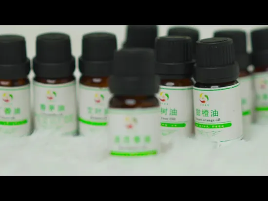 Essential Oil Manufacturers Supply Tea Tree Oil Extracted From Natural Plants 